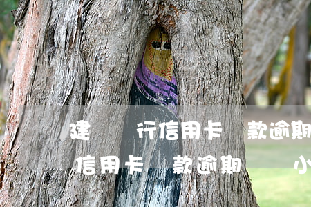 建設銀行信用卡還款逾期幾個小時(建設銀行信用卡還款逾期幾個小時)