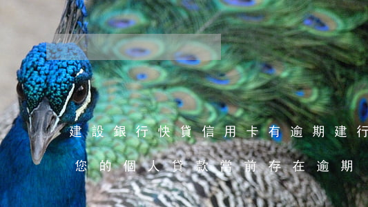 建設銀行快貸信用卡有逾期(建行快貸很遺憾您的個人貸款當前存在逾期)