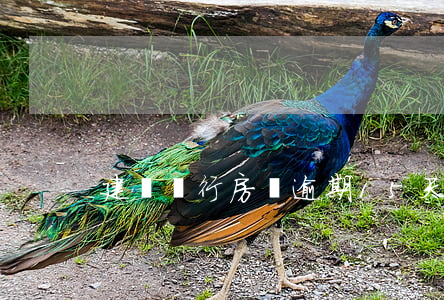 建設銀行房貸逾期15天