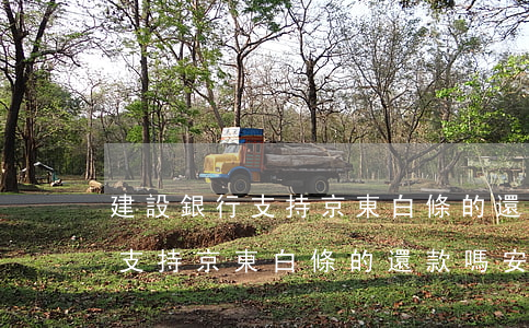 建設銀行支持京東白條的還款嗎-建設銀行支持京東白條的還款嗎安全嗎