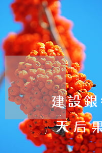 建設銀行貸款逾期十一天(銀行貸款逾期10天后果)