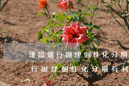 建設銀行辦理個性化分期有利息嗎-建設銀行辦理個性化分期有利息嗎多少錢