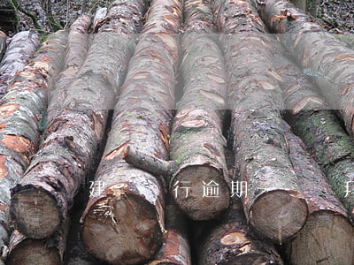 建設銀行逾期一個禮拜影響大嗎-
