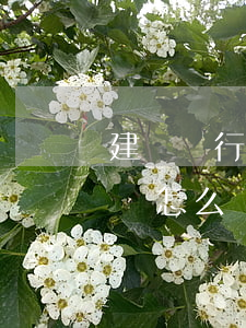 建設銀行逾期兩個月了,已經(jīng)起訴怎么辦啊?（建行行信用卡逾期6個月了）