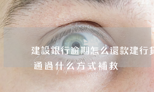 建設銀行逾期怎么還款(建行貸款逾期了可以通過什么方式補救?)