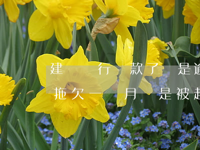建設銀行還款了還是逾期(建設銀行貸款逾期拖欠一個月還是被起訴了)