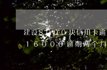 建设8000块信用卡逾期两个月-信用卡16000逾期两个月