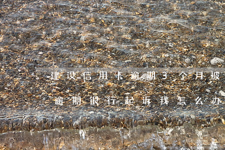 建设信用卡逾期3个月被起诉(三个月信用卡逾期银行起诉我怎么办)