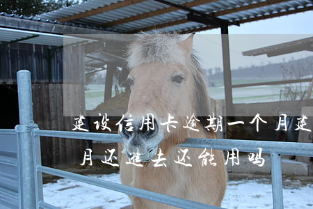 建设信用卡逾期一个月 建设信用卡逾期一个月还进去还能用吗