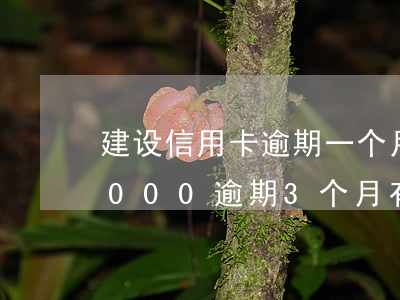 建设信用卡逾期一个月有事吗 建行信用卡5000逾期3个月有什么后果