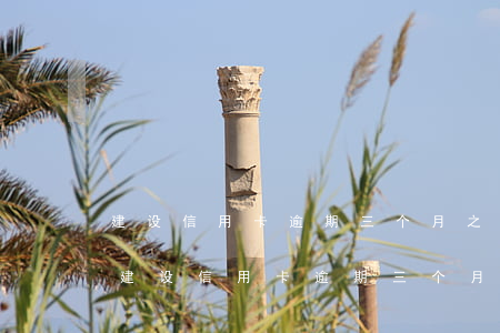建设信用卡逾期三个月之后还钱还能用吗-建设信用卡逾期三个月之后还钱还能用吗