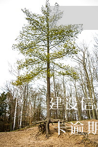 建设信用卡逾期三个月会怎么样-建设信用卡逾期三个月会怎么样吗