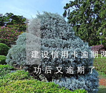 建设信用卡逾期两年协商-跟信用卡协商成功后又逾期了