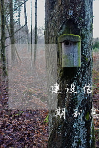 建设信用卡逾期利息一直涨吗(建设信用卡逾期利息一直涨吗)