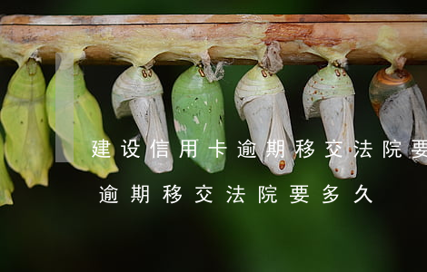 建设信用卡逾期移交法院要多久（建设信用卡逾期移交法院要多久）