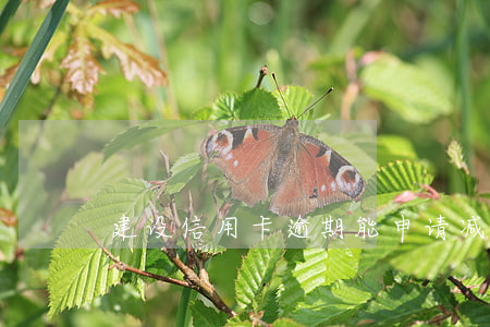 建设信用卡逾期能申请减免分期吗