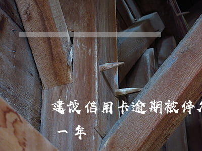建设信用卡逾期被停(欠建设信用卡一万逾期一年)