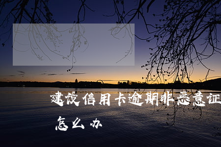 建设信用卡逾期非恶意证明(建设信用卡逾期怎么办)
