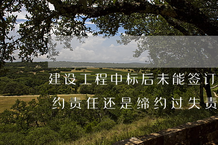 建设工程中标后未能签订书面合同，应承担违约责任还是缔约过失责任