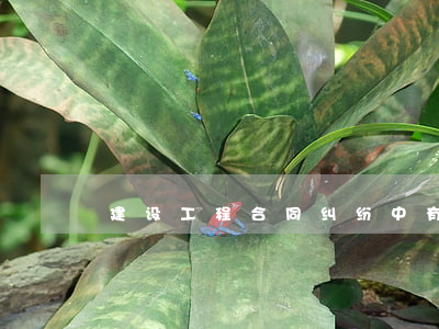 建设工程合同纠纷中，有关“挂靠”的实务探讨