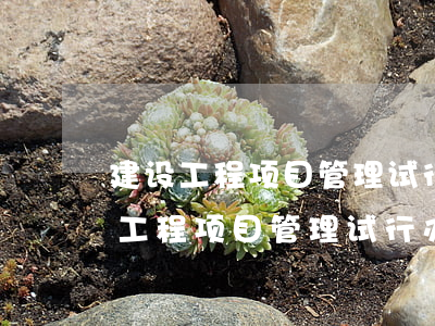 建设工程项目管理试行办法有哪些问题（建设工程项目管理试行办法中关于从业人员）