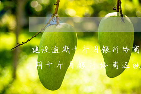 建设逾期十个月银行协商还款技巧-建设逾期十个月银行协商还款技巧是什么