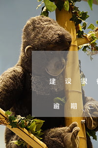 建设银行信用卡协商还款后又逾期(建设银行逾期三年,协商还本金可以吗)