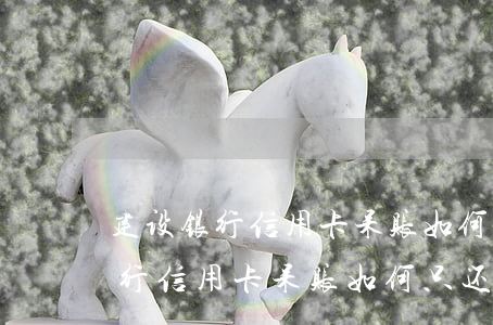 建设银行信用卡呆账如何只还本金-建设银行信用卡呆账如何只还本金呢