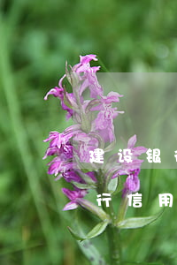建设银行信用卡欠5万逾期三个月-建设银行信用卡欠5万逾期三个月会怎样