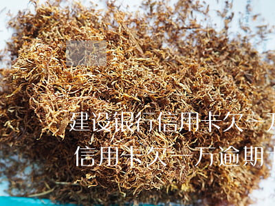 建设银行信用卡欠一万逾期七年了（建设银行信用卡欠一万逾期七年了）
