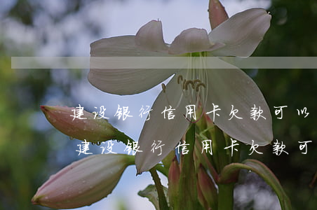 建设银行信用卡欠款可以协商只还本金吗-建设银行信用卡欠款可以协商只还本金吗