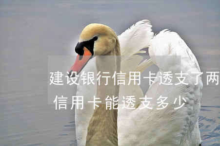 建设银行信用卡透支了两千(建设银行刚办的信用卡能透支多少)