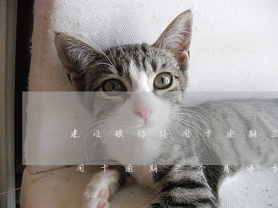建设银行信用卡逾期三个月停卡(建设银行信用卡逾期三个月停卡了怎么办)