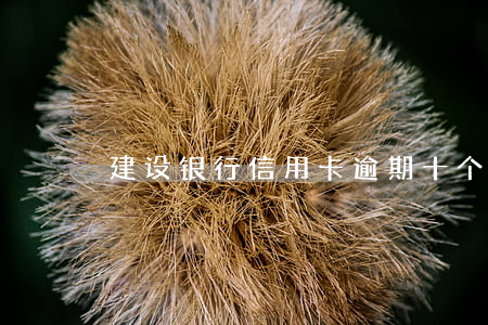 建设银行信用卡逾期十个月