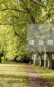 建设银行信用卡逾期协商分多少期-银监会建设银行信用卡逾期协商分期