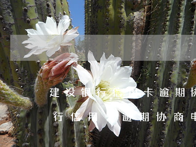 建设银行信用卡逾期协商电话多少-建设银行信用卡逾期协商电话多少号