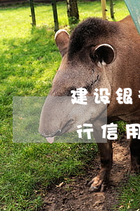 建设银行信用卡逾期后被起诉后果-建设银行信用卡逾期后被起诉后果是什么