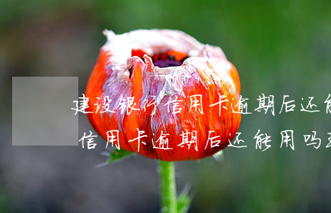 建设银行信用卡逾期后还能用吗-建设银行信用卡逾期后还能用吗现在