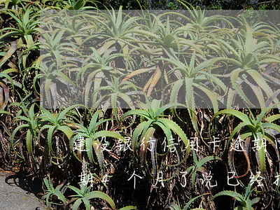 建设银行信用卡逾期四期(建设银行信用卡逾期4个月了,说已经报案了)