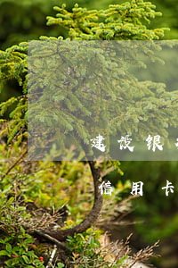 建设银行信用卡逾期怎么消除记录(建设银行信用卡逾期怎么消除记录查询)
