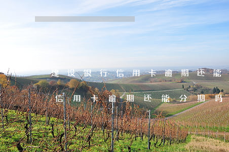 建设银行信用卡逾期还能分期吗-建设银行信用卡逾期还能分期吗现在
