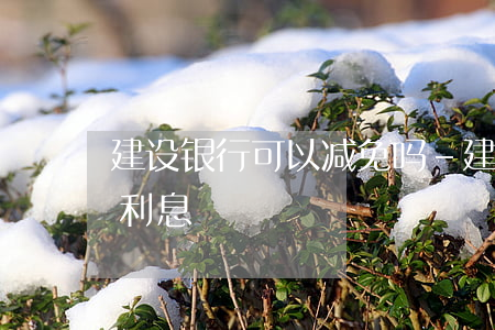 建设银行可以减免吗-建设银行可以减免吗利息
