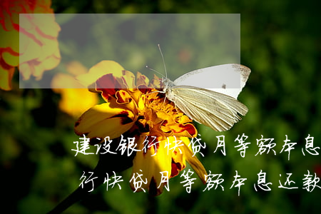 建设银行快贷月等额本息还款好吗-建设银行快贷月等额本息还款好吗安全吗