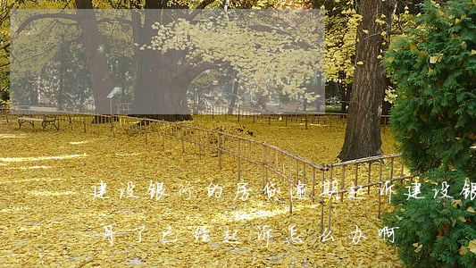 建设银行的房贷逾期起诉 建设银行逾期两个月了,已经起诉怎么办啊?