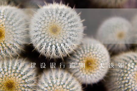 建设银行逾期一天该如何处理