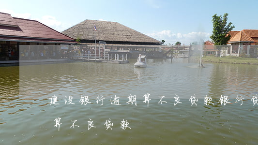 建设银行逾期算不良贷款(银行贷款逾期多久算不良贷款)