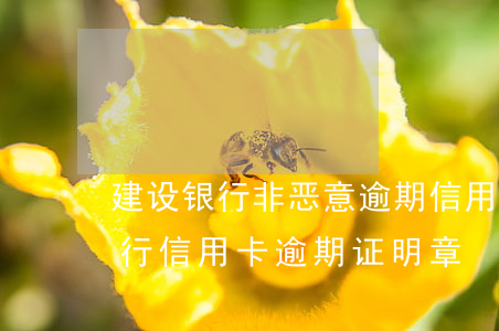 建设银行非恶意逾期信用卡还款证明范本（建行信用卡逾期证明章）