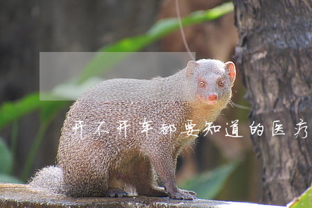 开不开车都要知道的,医疗垫付问题