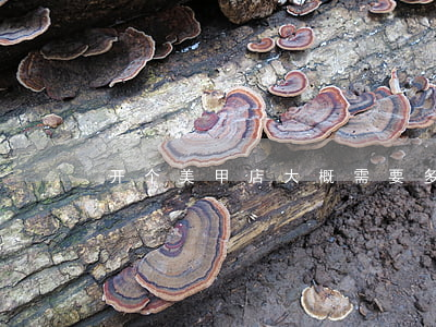 开个美甲店大概需要多少钱