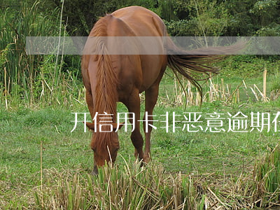 开信用卡非恶意逾期在哪里开
